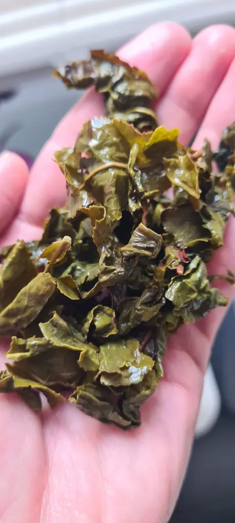 oolong geïnfuseerd.webp