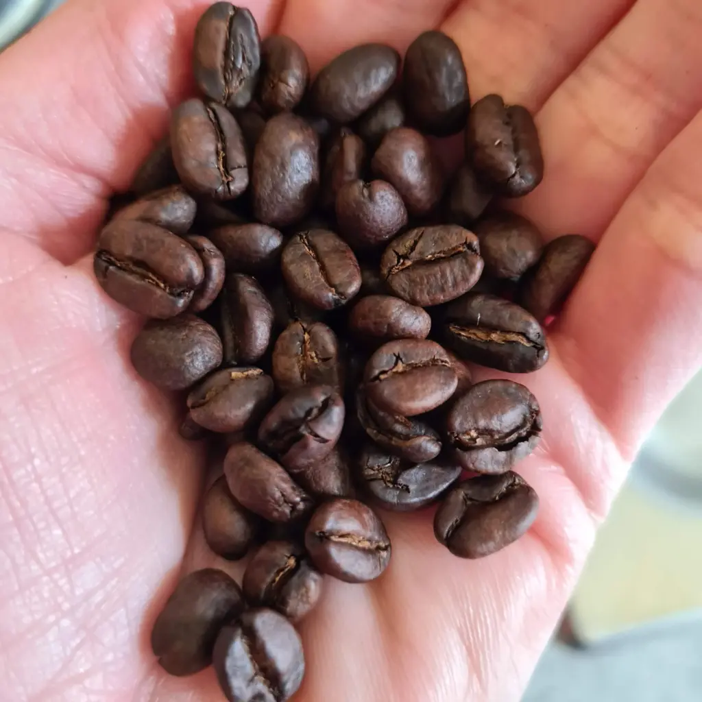 100% arabica decafeïné koffie by Tea Tub 250g