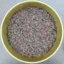 Lapsang souchong 50g