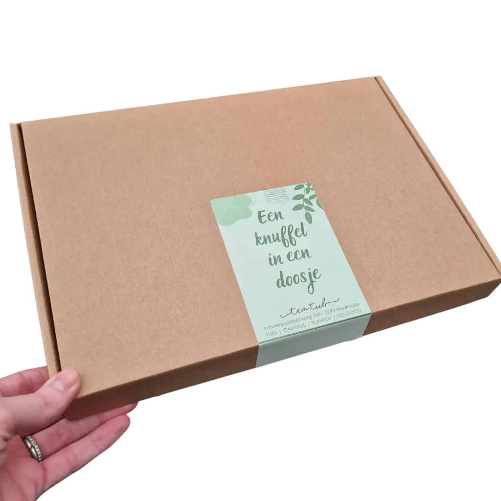 Thee & chocolade cadeaubox S €20