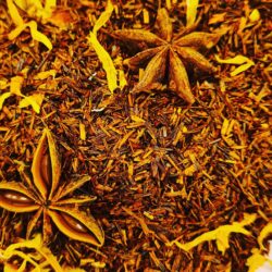 Rooibos