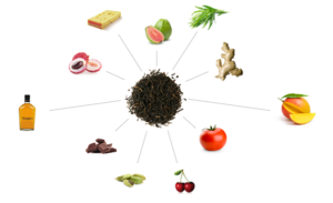 teafoodpairing.com