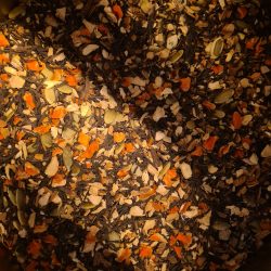 Pumpkin spice by Tea Tub 25g
